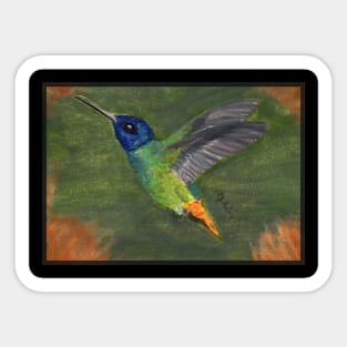 Hummingbird Sticker